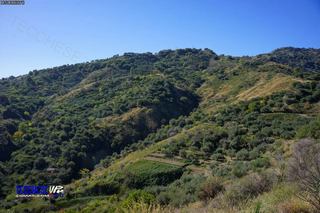 stello Calatabiano-12-03-2014 20-08-02